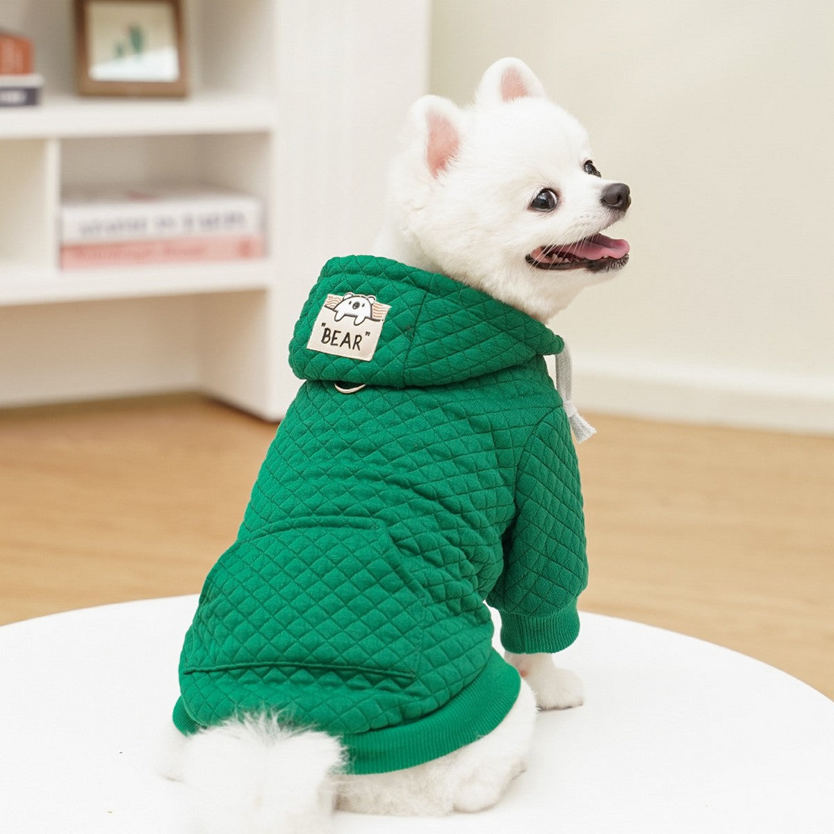 Sporty Pet Hoodie – Warm Fall & Winter Outfit_CWMM11082