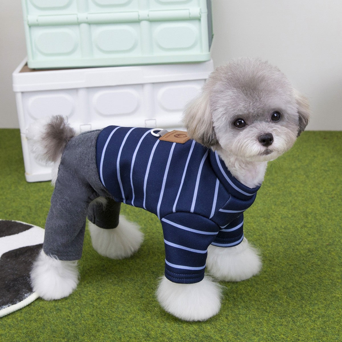 Pet Winter Fleece Pants for Small Dogs_CWMM12225
