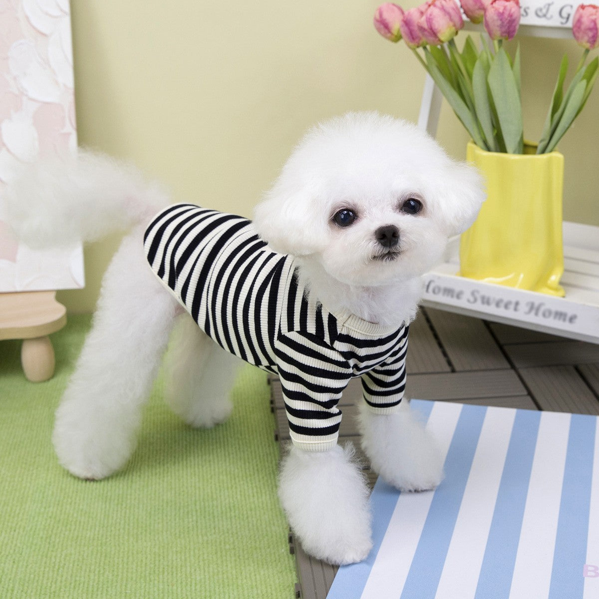 Striped Dog Cat T-Shirt Winter Small Dogs_CWMM12251