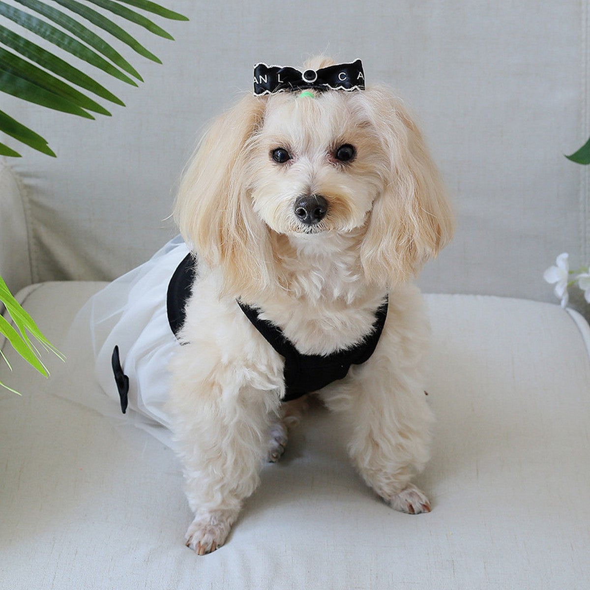 Cute Pet Dress Tulle Strap Bow Design_CWMM13249