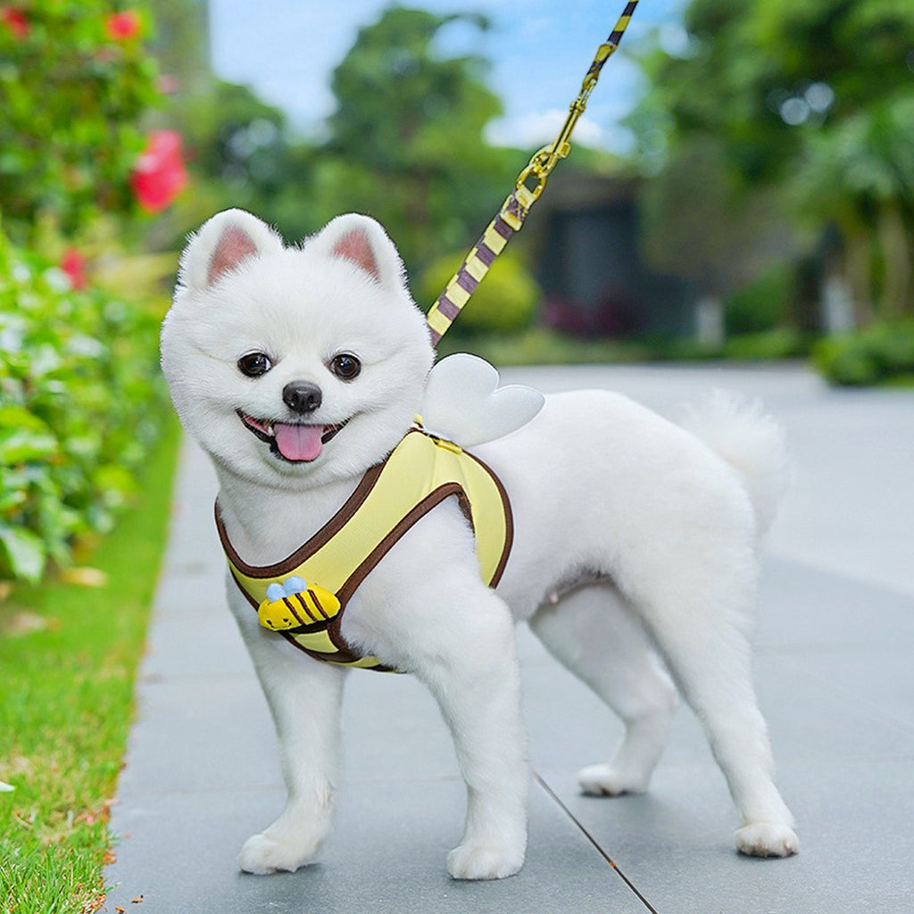 Bee Pet Harness Set – Cute Dog Cat Leash Outfit_CWMM11161