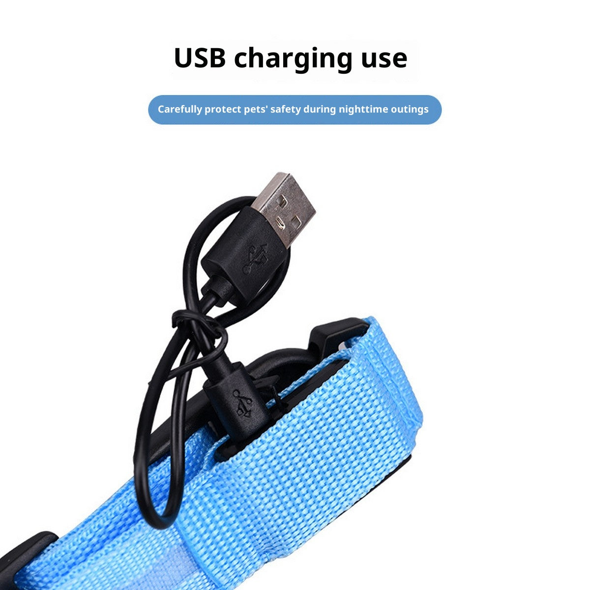 LED Nylon Dog Collar USB Night Safety Glow_CWMM11485