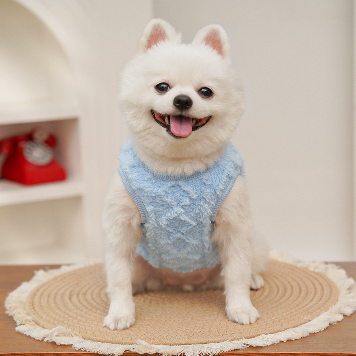 Plush Lined Coat for Small Dogs & Cats_CWMM11119