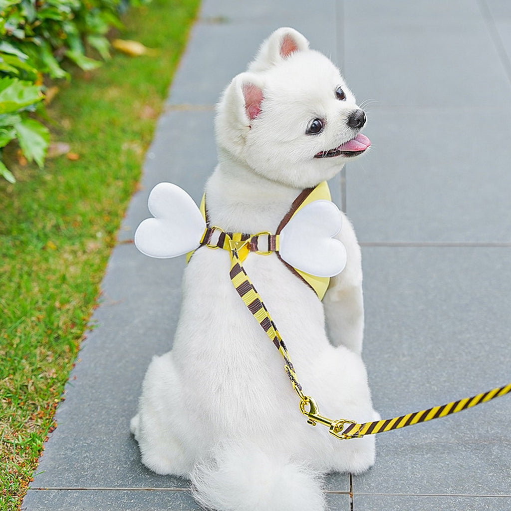 Bee Pet Harness Set – Cute Dog Cat Leash Outfit_CWMM11161