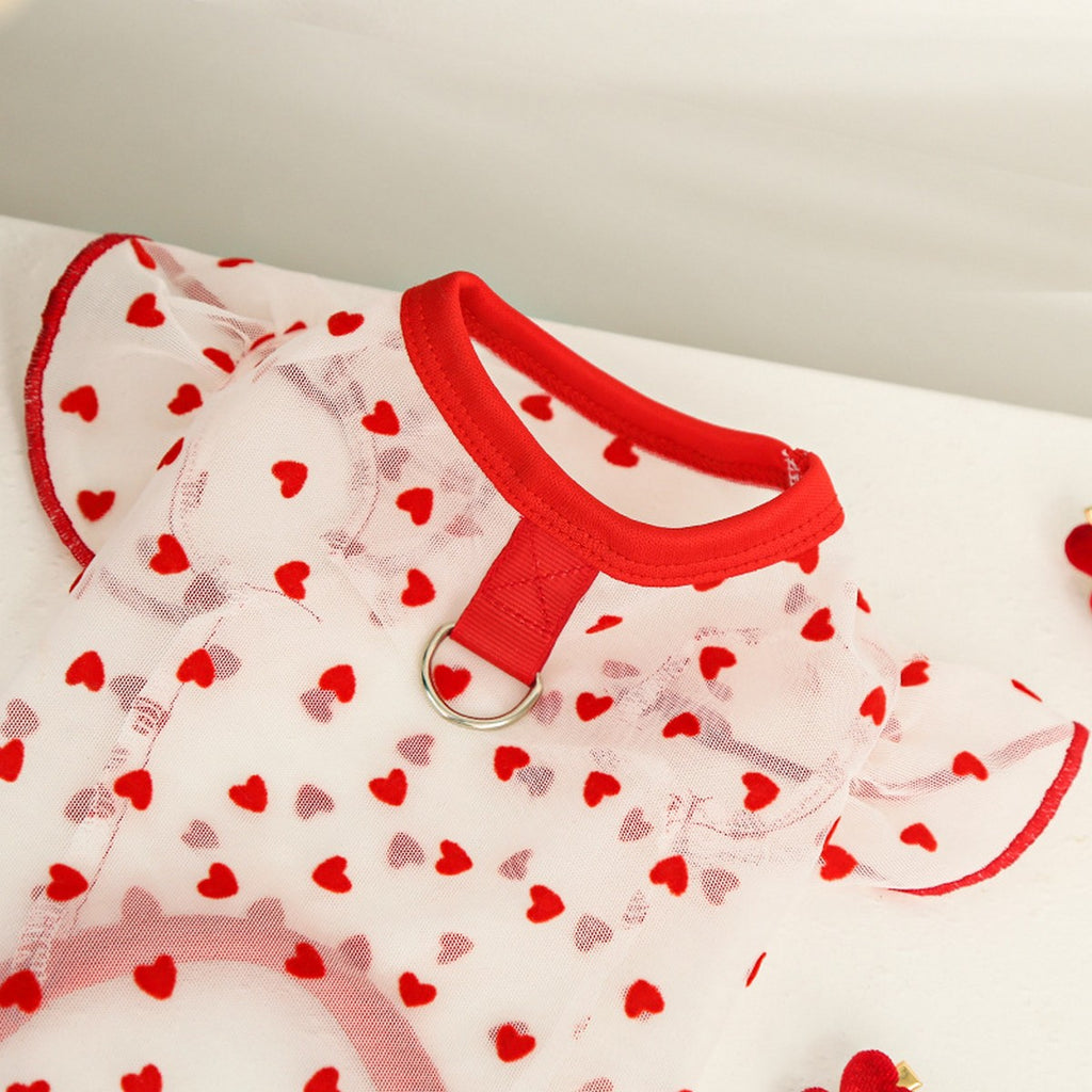 Airy Mesh & Flutter Sleeve Design_CWMM11125