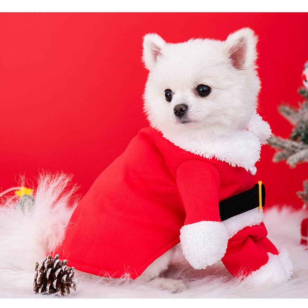 Pet Christmas Costume for Dogs and Cats_CWMM12878