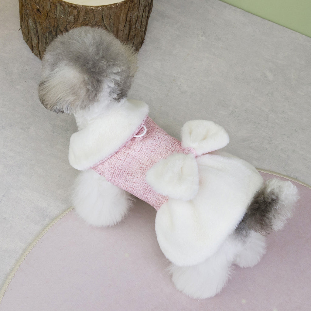 Teddy Bichon Dog Winter Princess Dress_CWMM12201