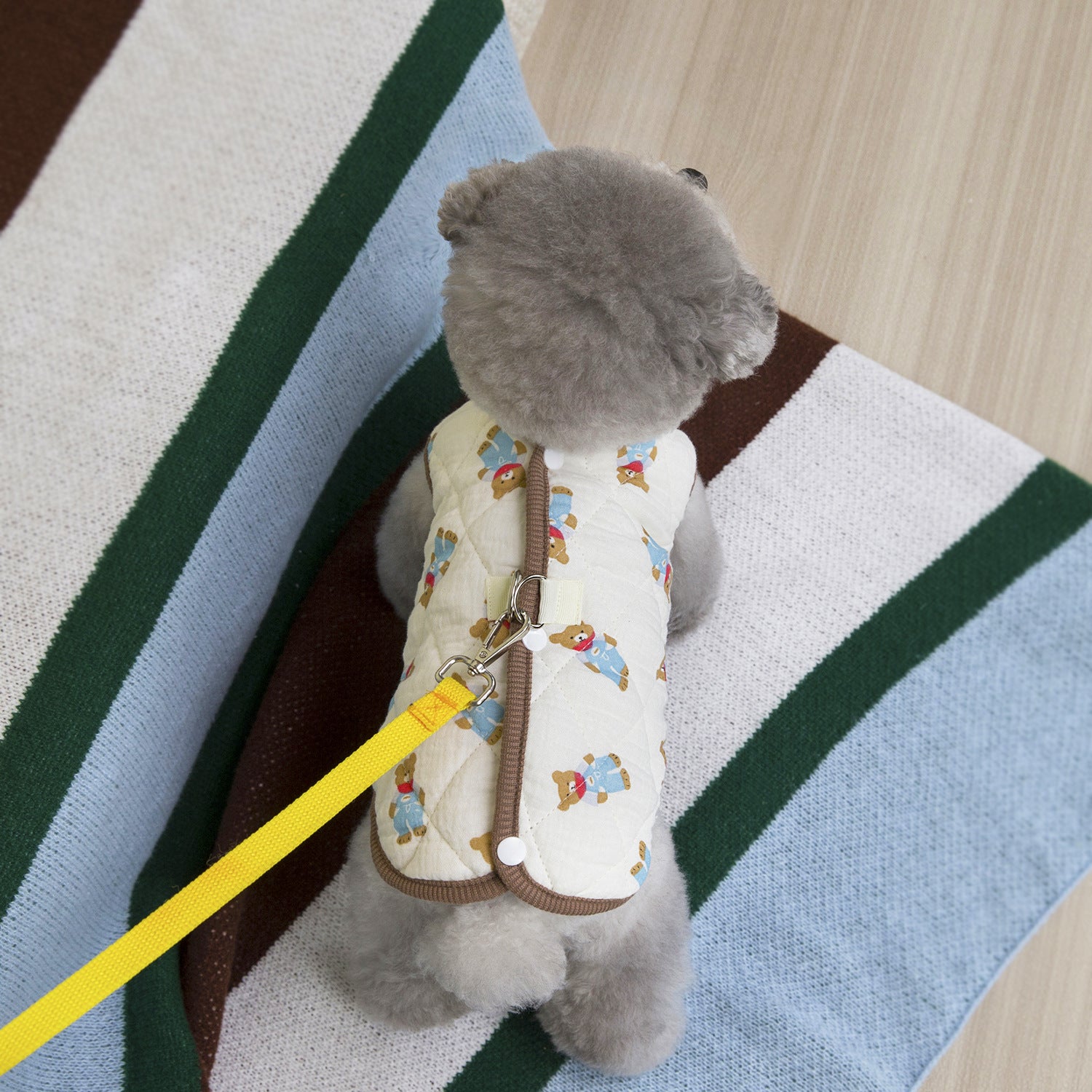 Warm Winter Dog Cotton Vest for Small Pets_CWMM12202