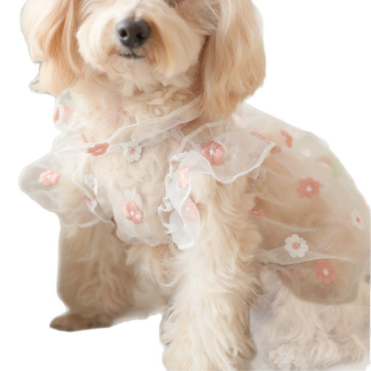 Puff Sleeve Pet Dress Embroidered Daisy_CWMM13246