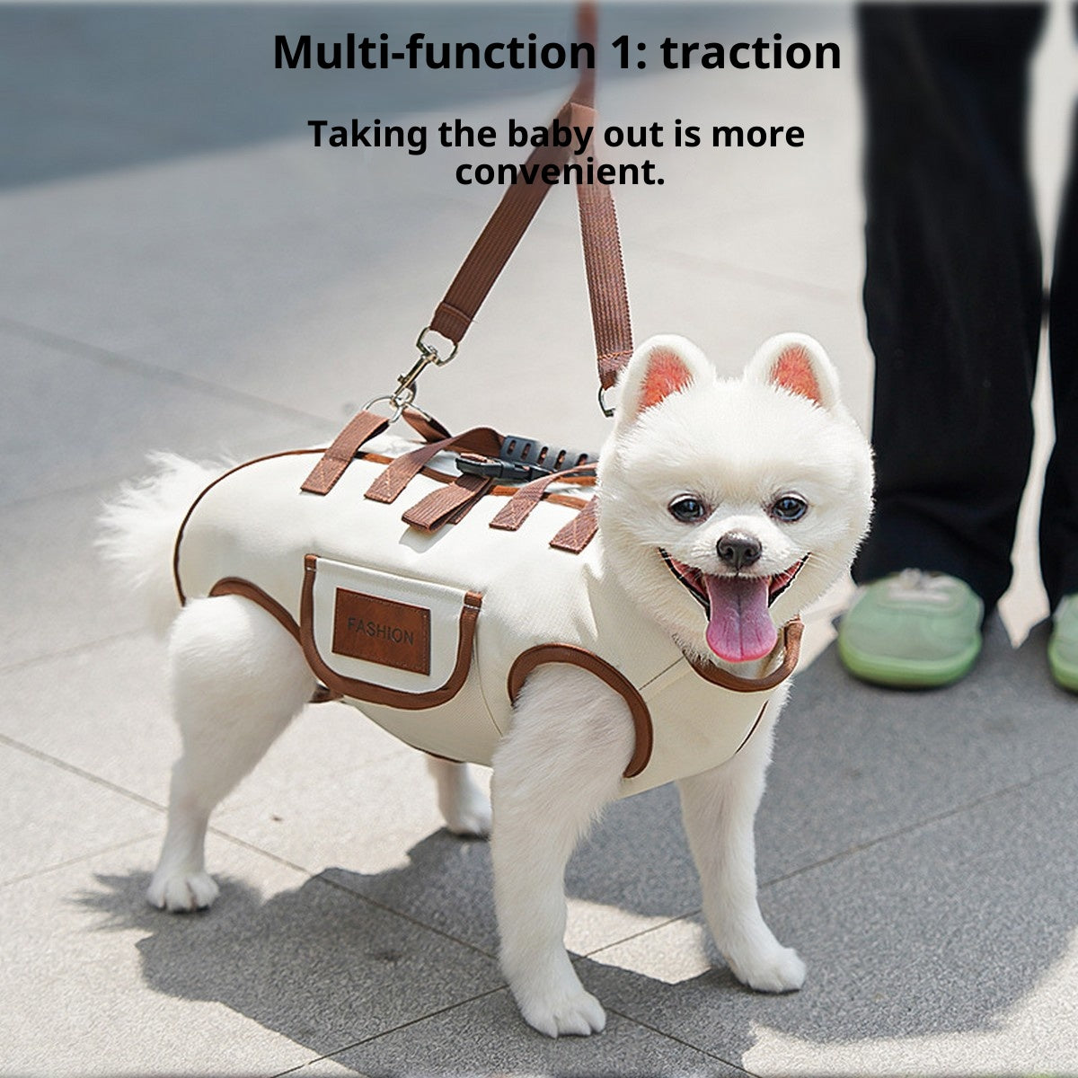 Portable Pet Travel Bag – Breathable Dog & Cat Carrier_CWMM11073