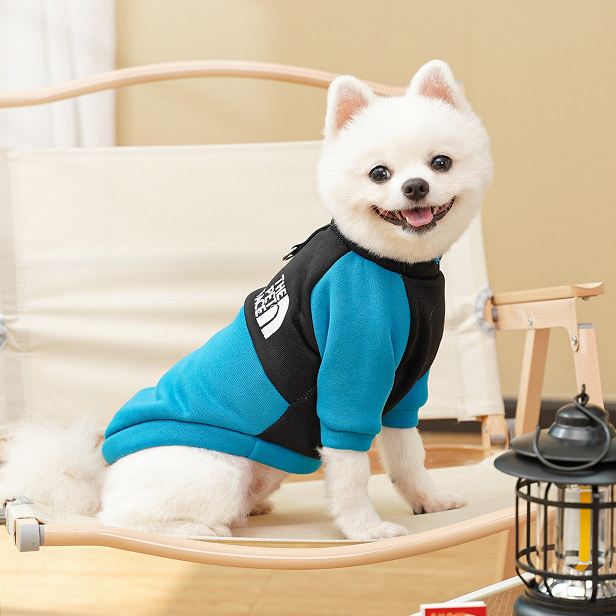 Fleece Lined Dog Clothes for Four Season_CWMM11123