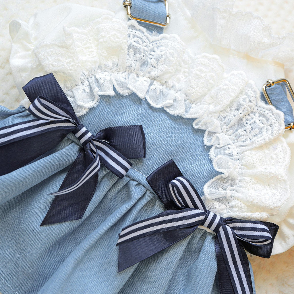 Pet Cozy Denim Dress Summer Beach Skirt_CWMM13045
