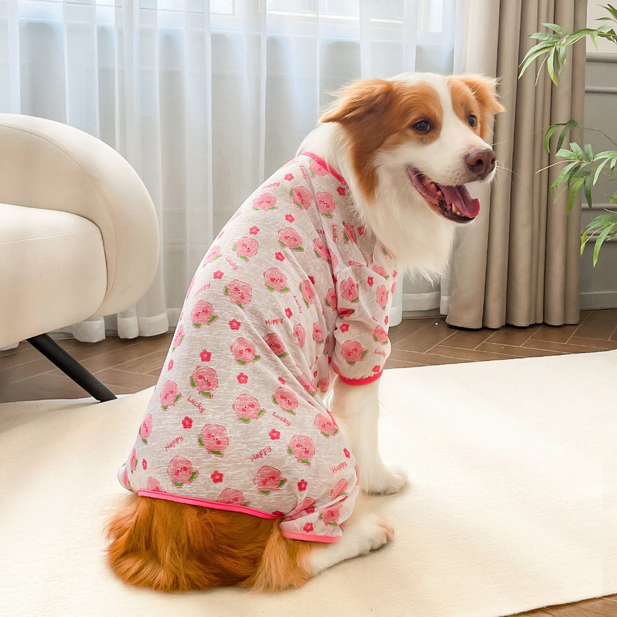 Spring Summer Cat & Dog Rompers_CWMM11132
