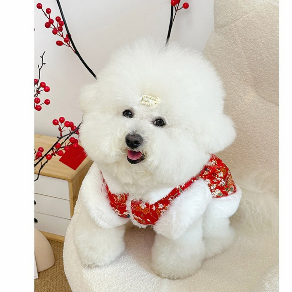 European Style Thick Dog Hoodie Small Dogs_CWMM12252