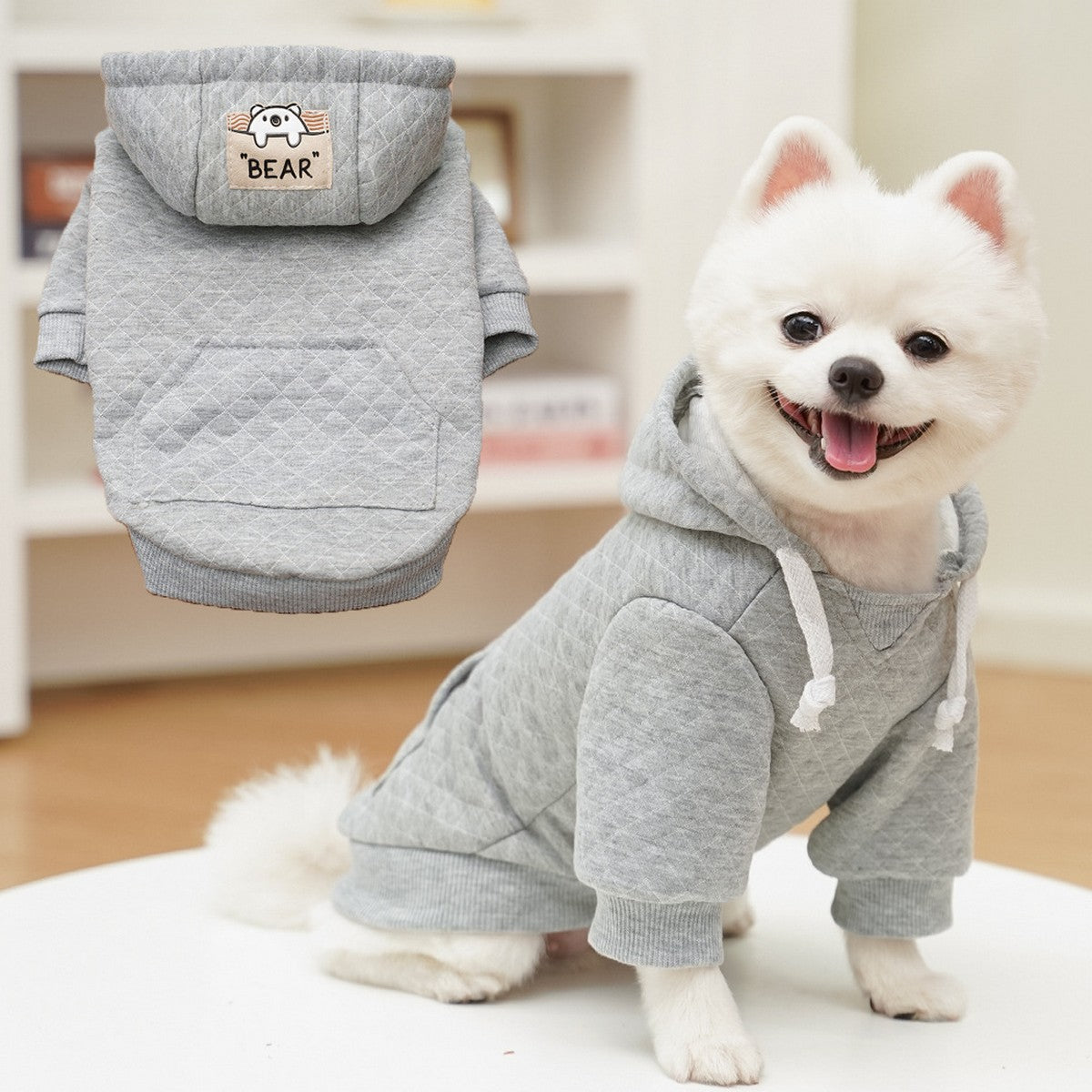 Sporty Pet Hoodie – Warm Fall & Winter Outfit_CWMM11082