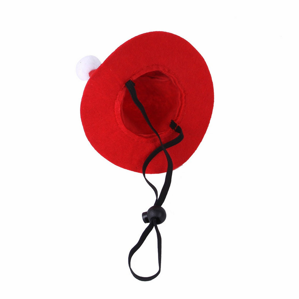 Funny Christmas Hat for Cats & Small Dogs_CWMM11400