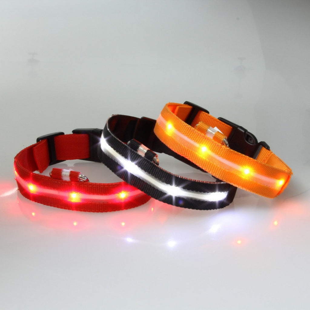 LED Nylon Dog Collar USB Night Safety Glow_CWMM11453