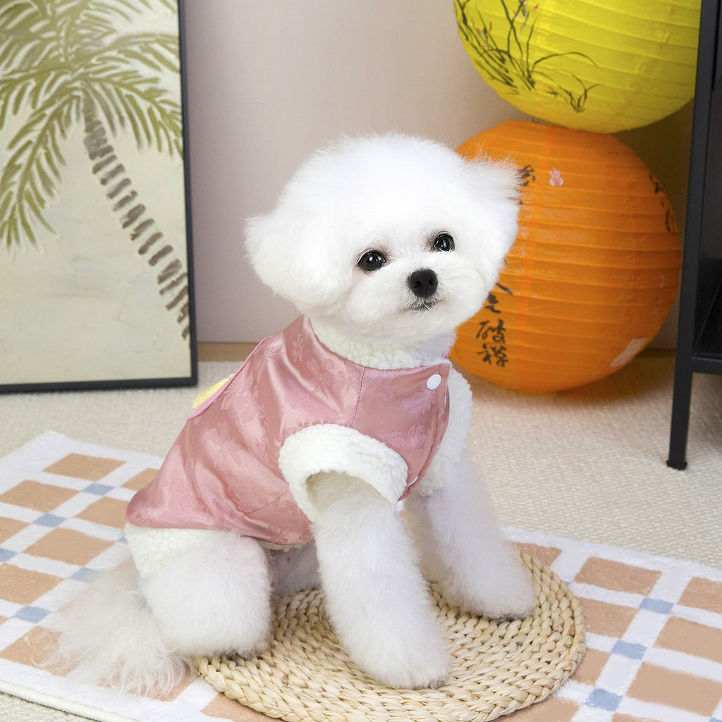 Elegant Korean Dog Winter Coat Small Doga_CWMM12278