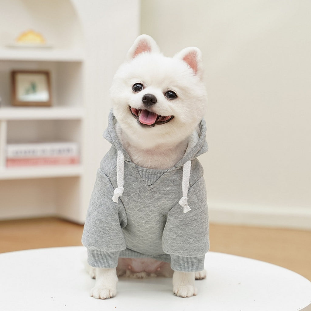 Sporty Pet Hoodie – Warm Fall & Winter Outfit_CWMM11082