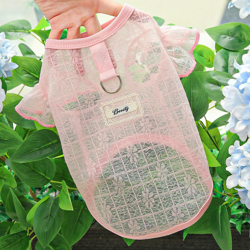 Flutter Sleeve Top with Soft Stretch_CWMM11127