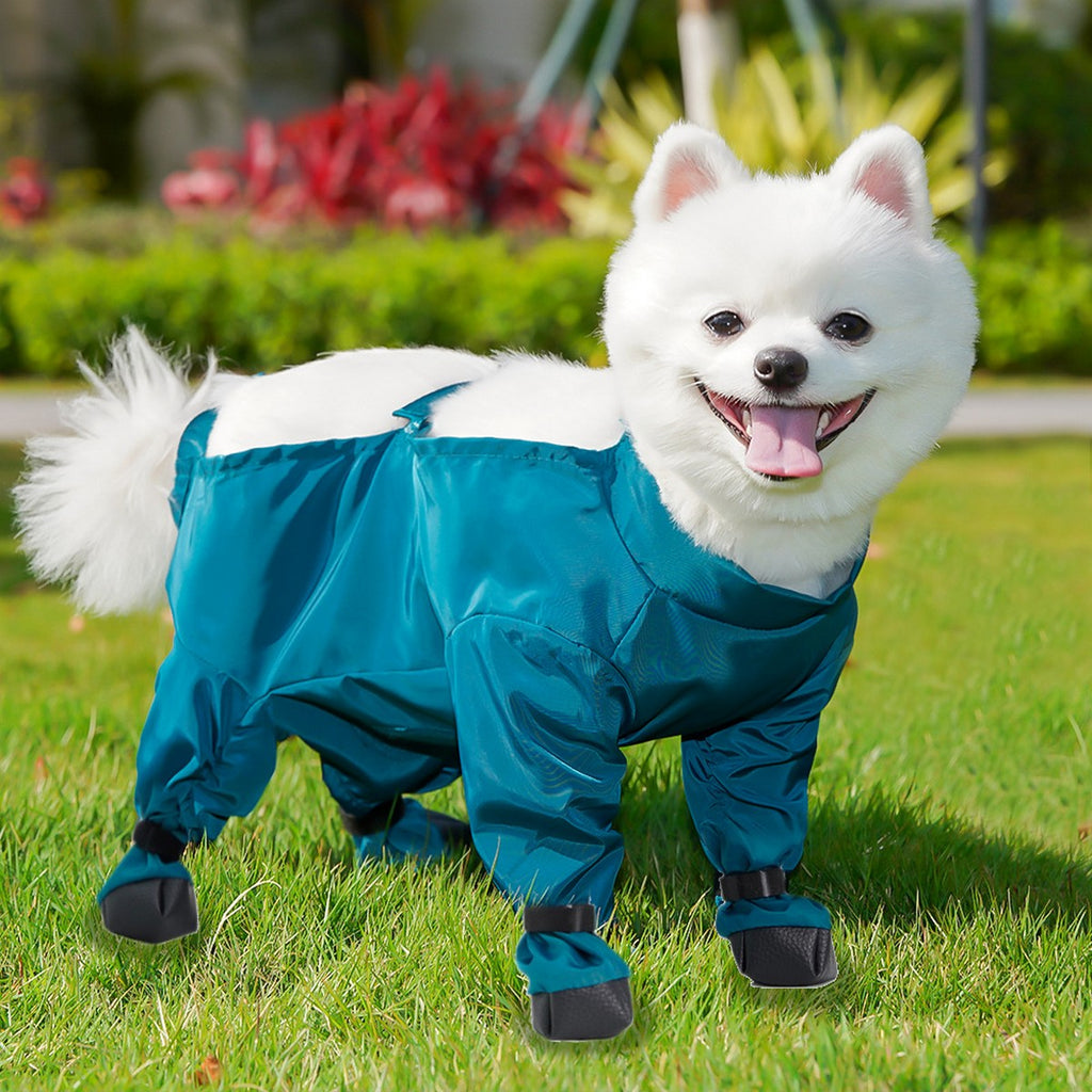 Pet Outdoor Pants – Dog Rainwear for Small Dogs_CWMM11087