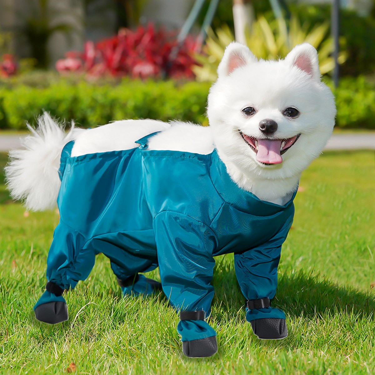 Pet Outdoor Pants – Dog Rainwear for Small Dogs_CWMM11087