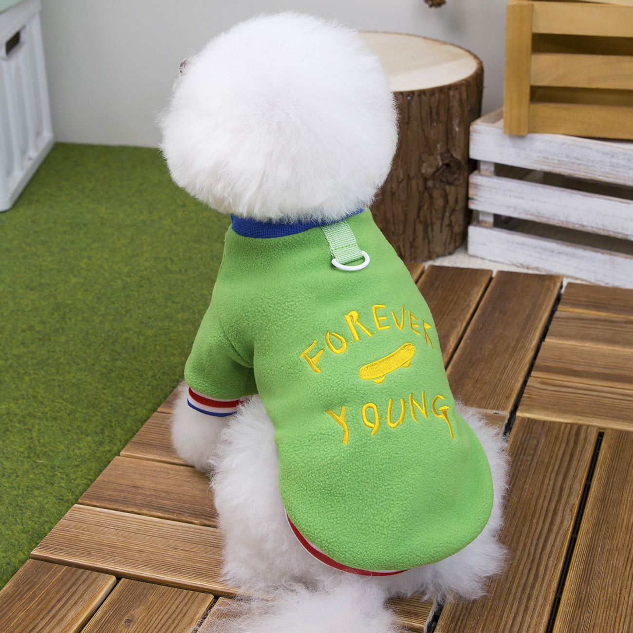 Warm Fleece Dog Hoodie for Small Dogs_CWMM12198