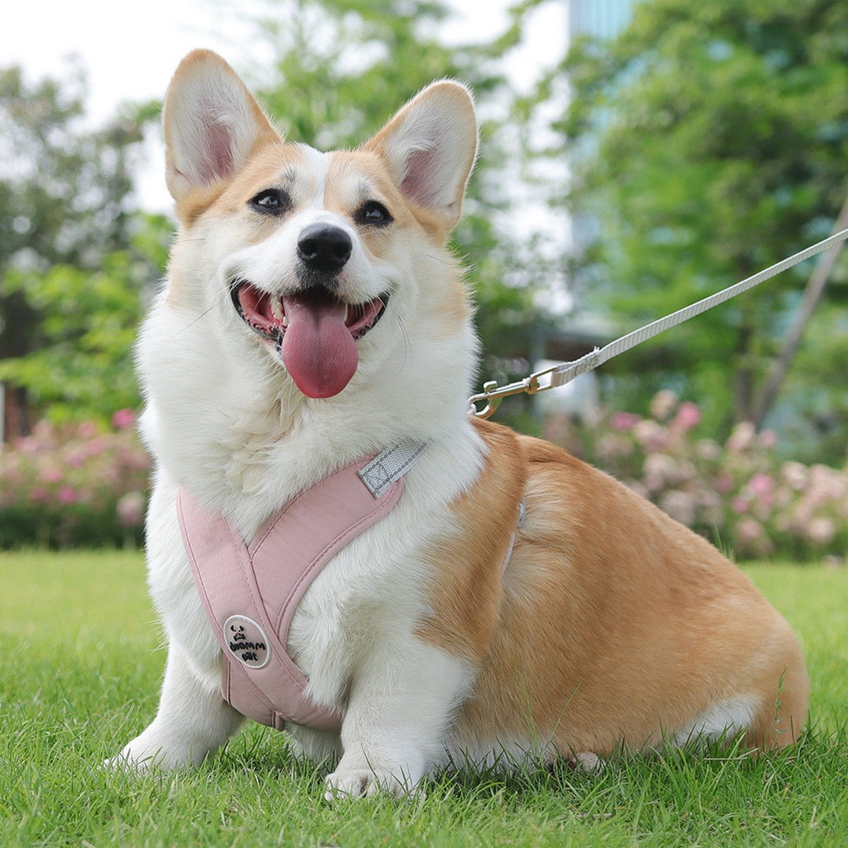 Dog Vest Harness with Reflective Walking Leash_CWMM12568