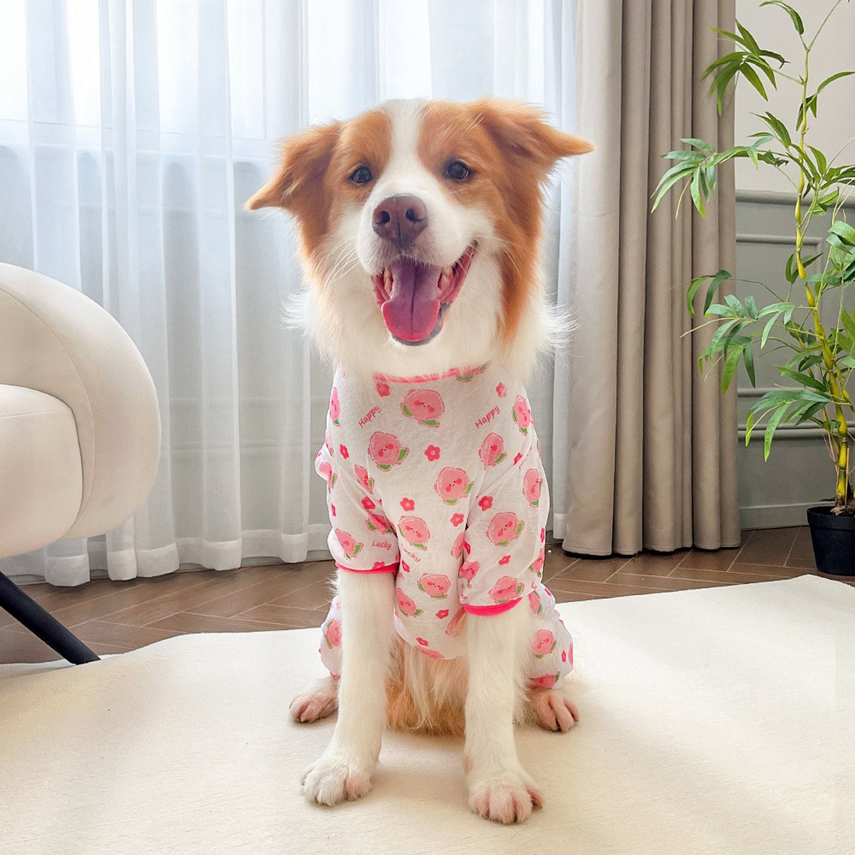 Spring Summer Cat & Dog Rompers_CWMM11132