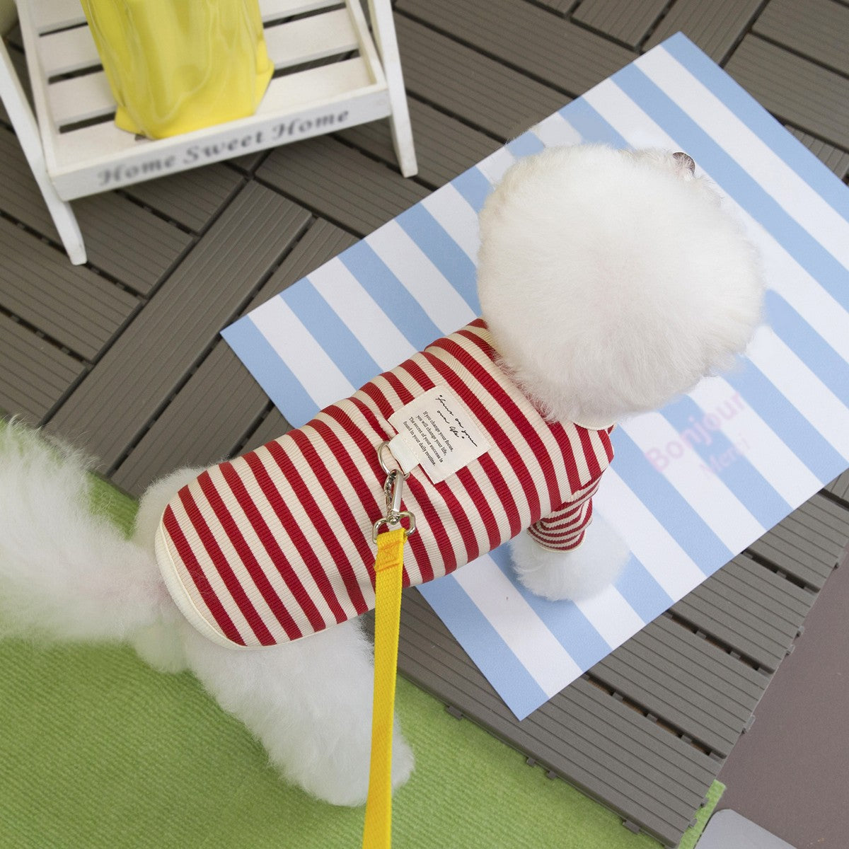 Striped Dog Cat T-Shirt Winter Small Dogs_CWMM12251