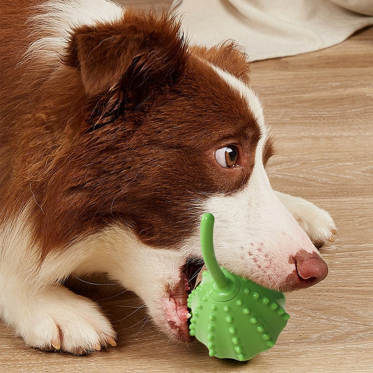 Interactive Dog Treat Dispensing Chew Ball Toy_CWMM12962