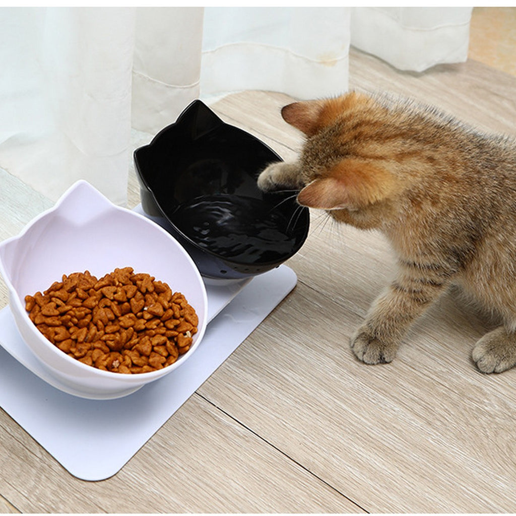 Plastic Automatic Water and Food Pet Bowl_CWMM13010