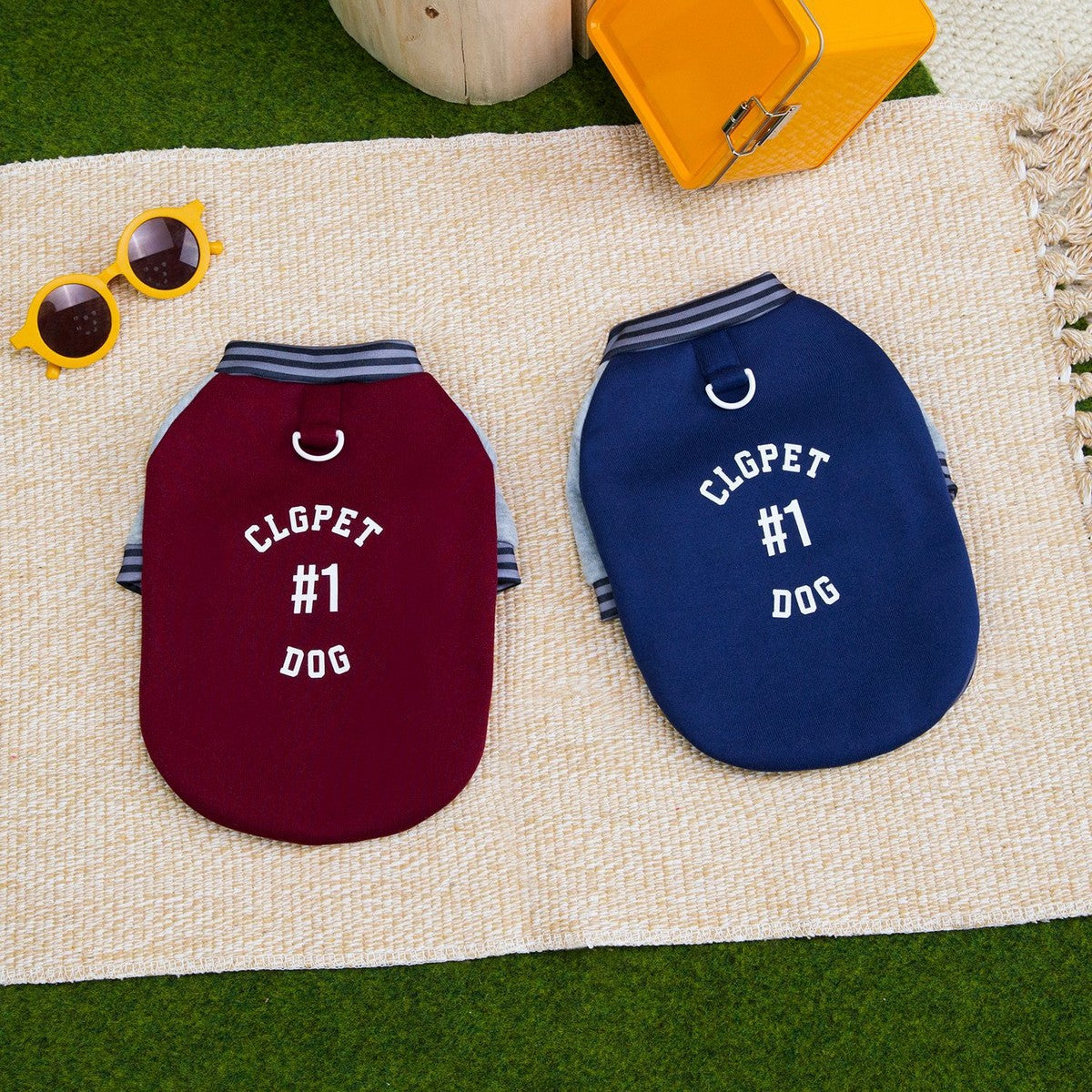 European Style Thick Dog Hoodie Small Dogs_CWMM12253