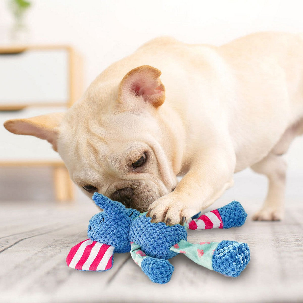 Pet Toys for Dogs and Cats Interactive Squeaky Chew Toys_CWMM11110