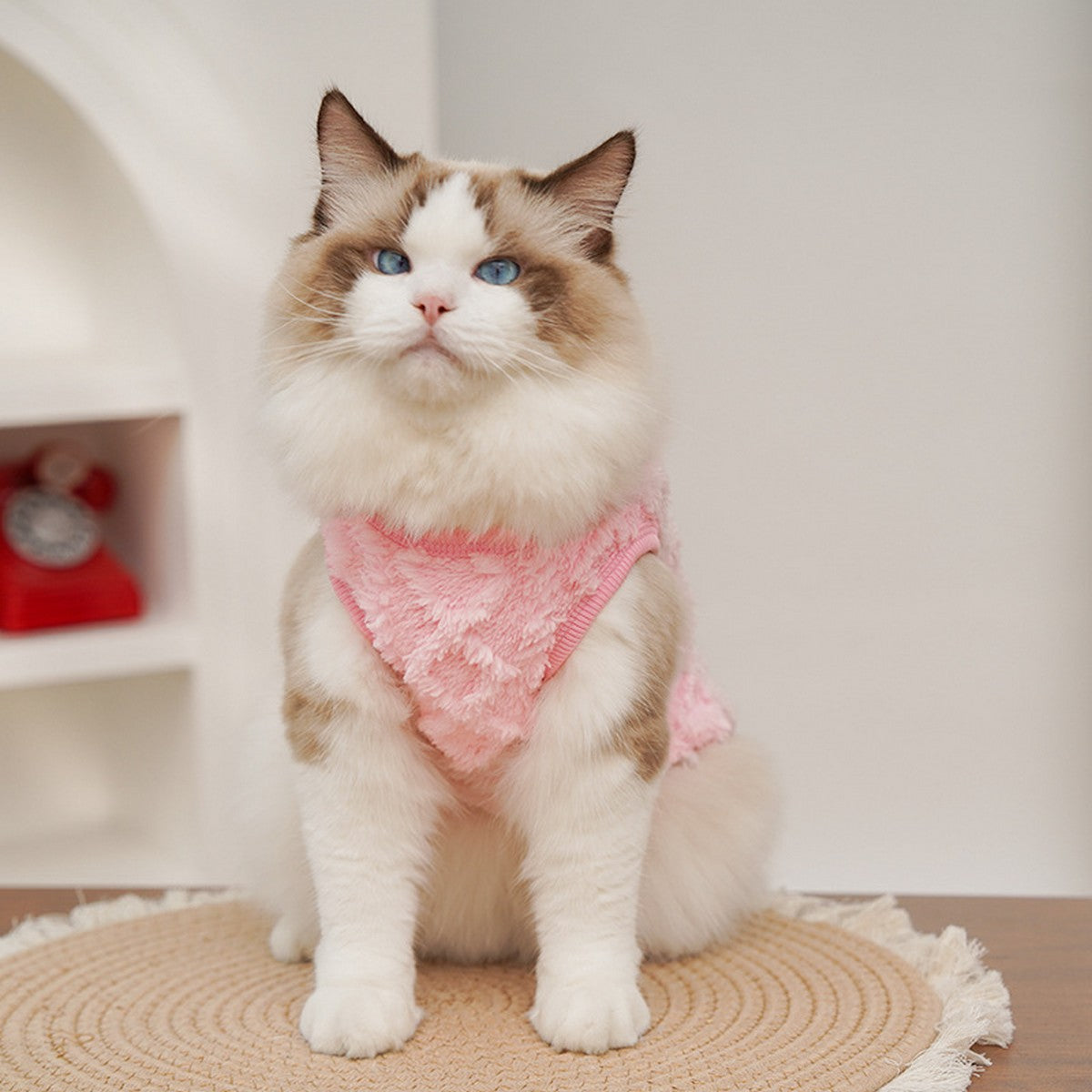 Plush Lined Coat for Small Dogs & Cats_CWMM11119