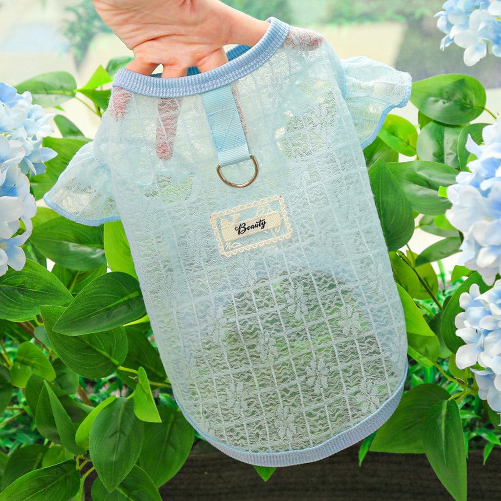 Flutter Sleeve Top with Soft Stretch_CWMM11127