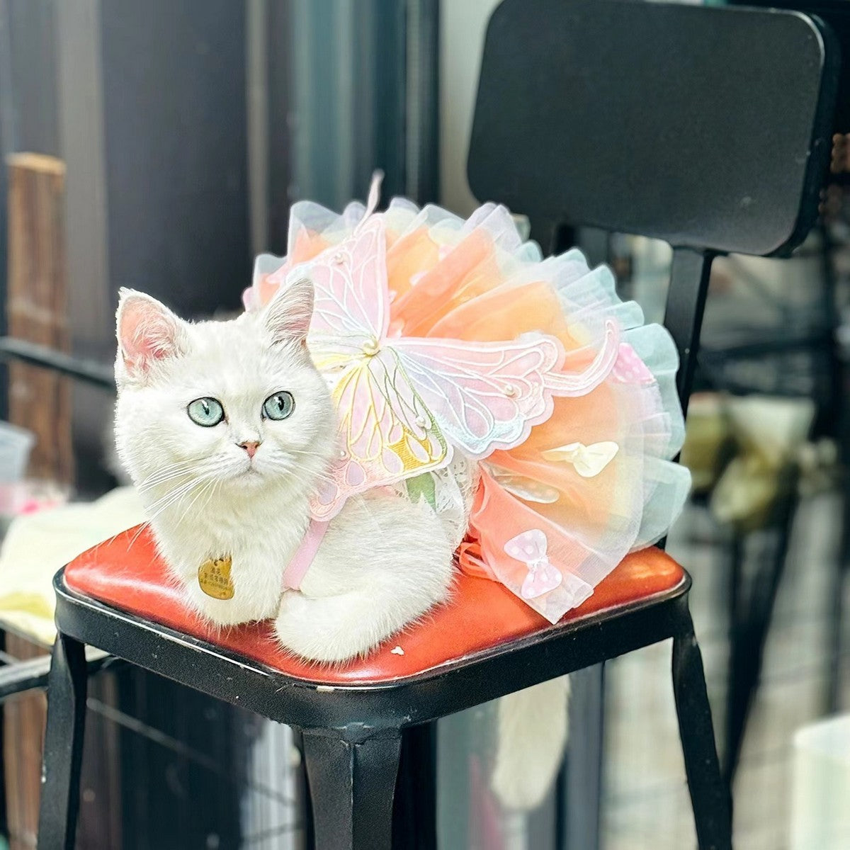Fluffy Pet Dress with Bow – Princess Style_CWMM11080