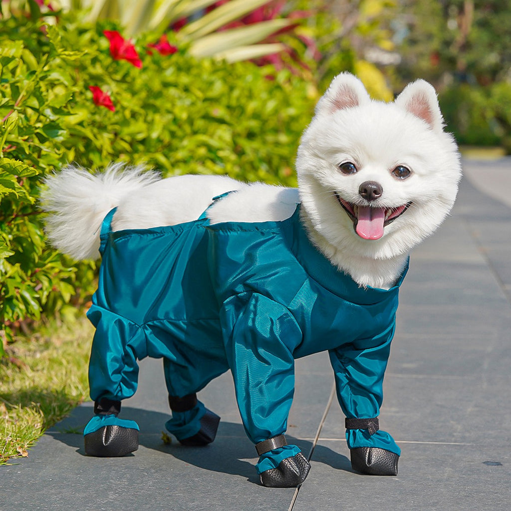 Pet Outdoor Pants – Dog Rainwear for Small Dogs_CWMM11087