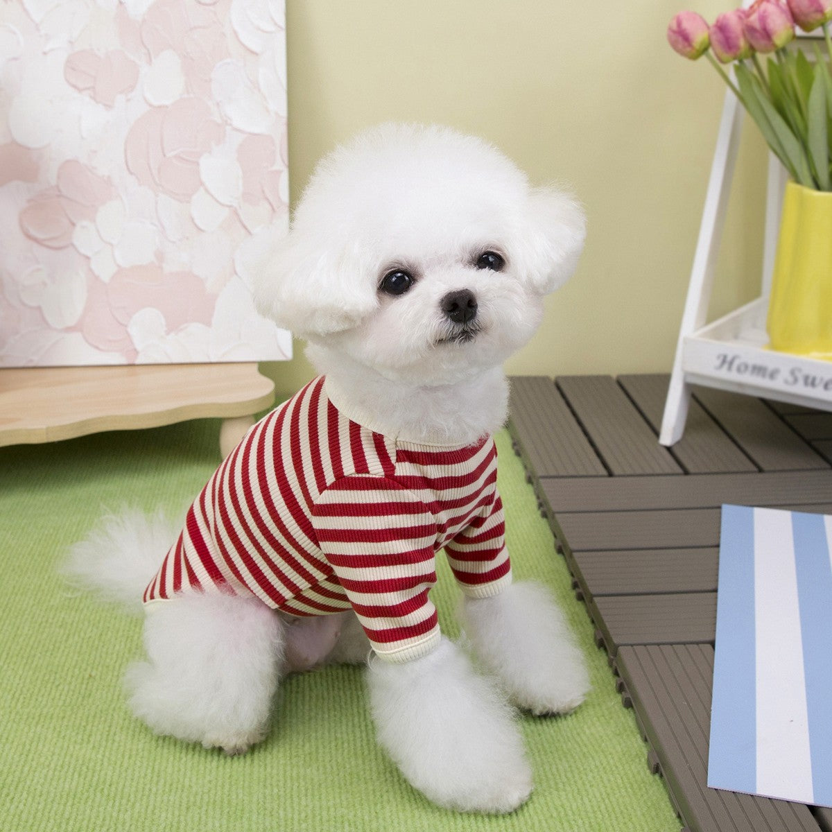 Striped Dog Cat T-Shirt Winter Small Dogs_CWMM12251
