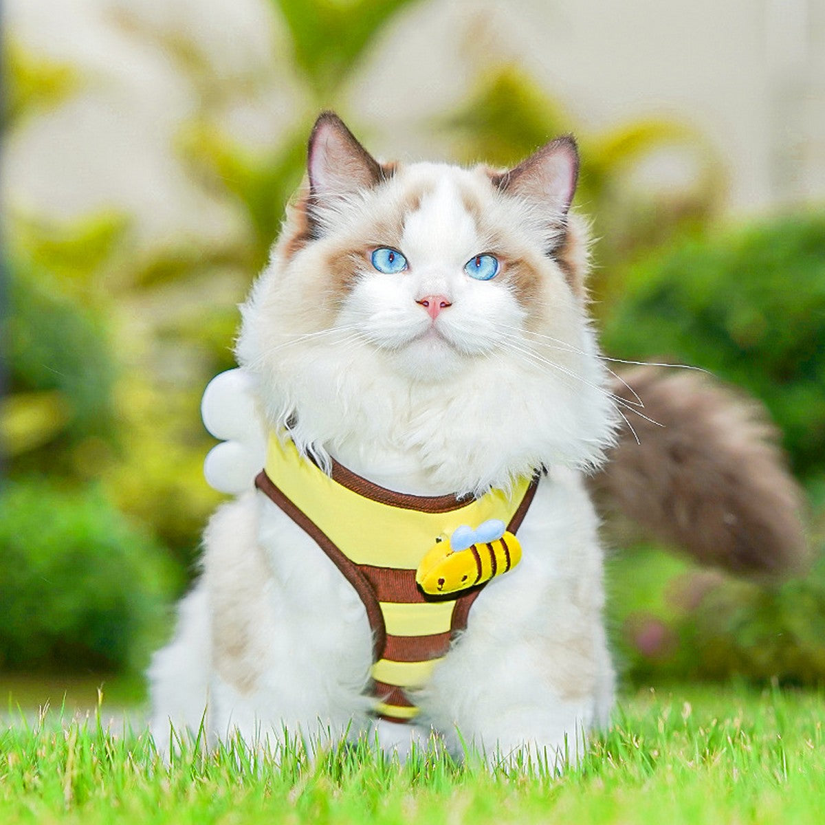 Bee Pet Harness Set – Cute Dog Cat Leash Outfit_CWMM11161