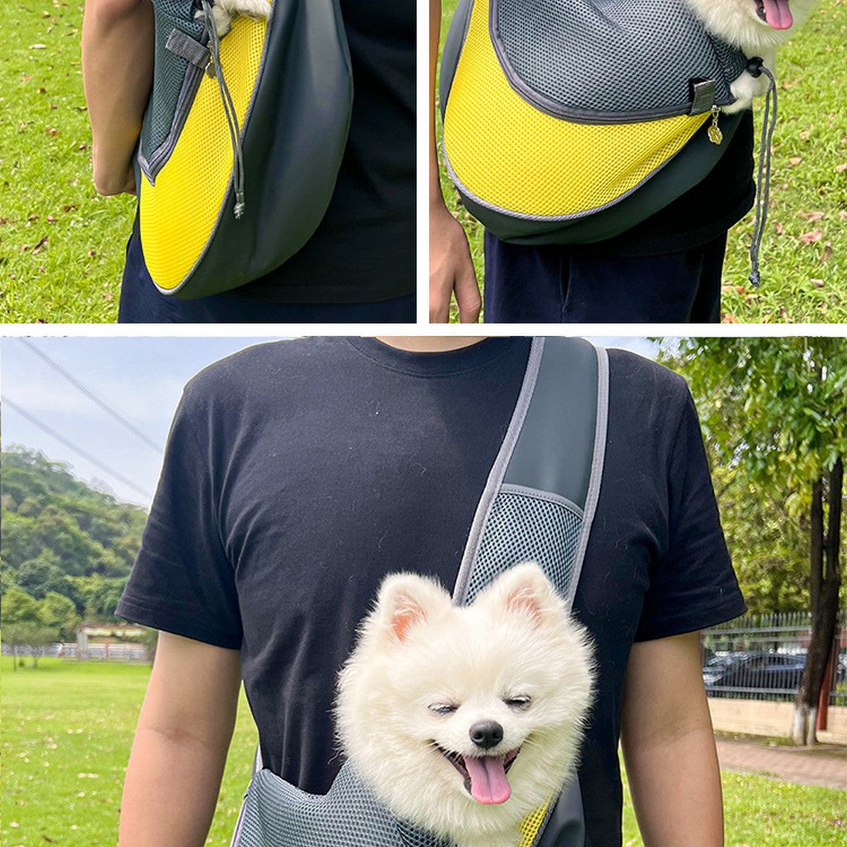 Breathable Mesh Cat & Dog Carrier_CWMM11133