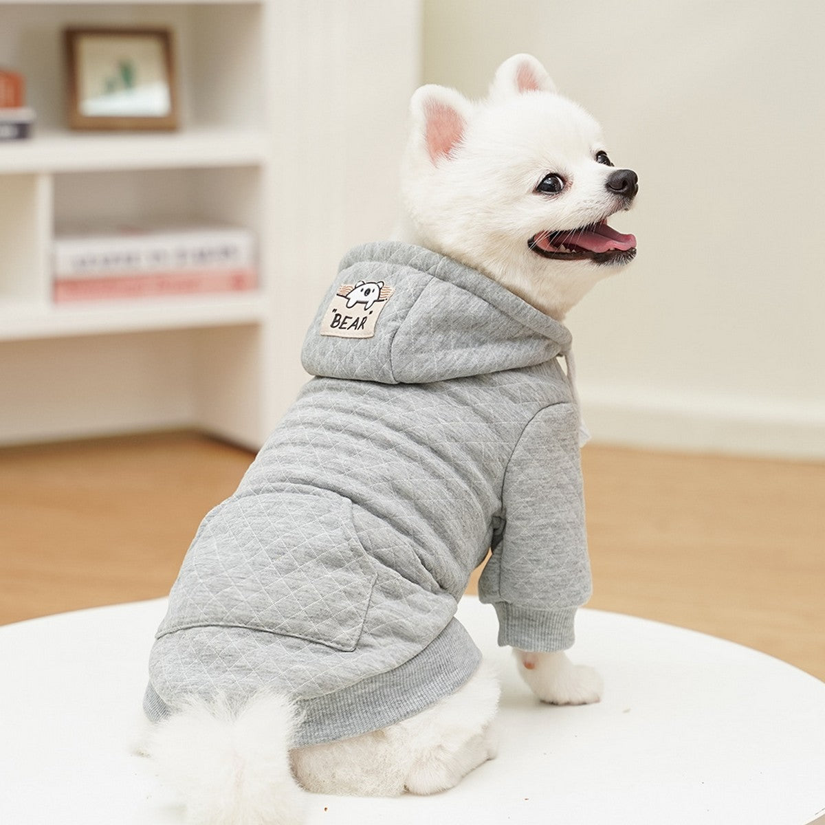 Sporty Pet Hoodie – Warm Fall & Winter Outfit_CWMM11082
