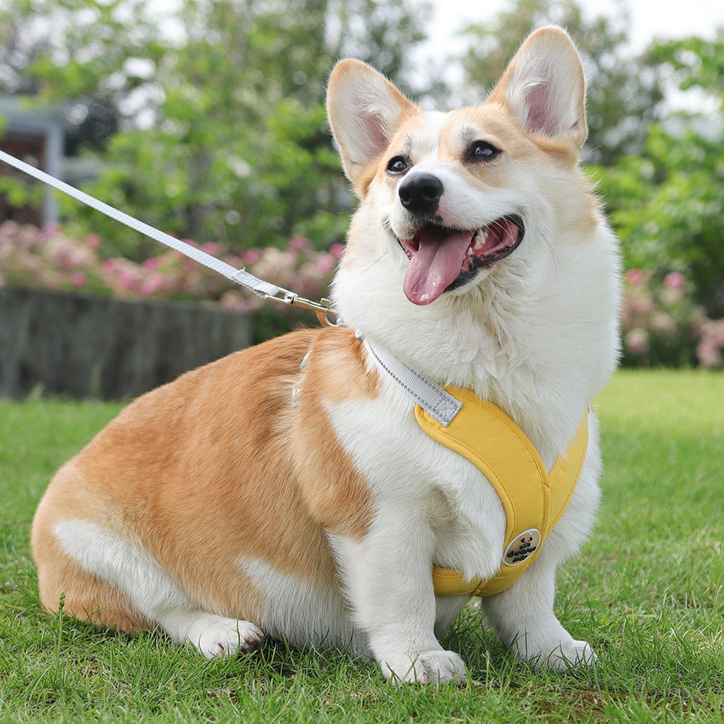 Dog Vest Harness with Reflective Walking Leash_CWMM12568