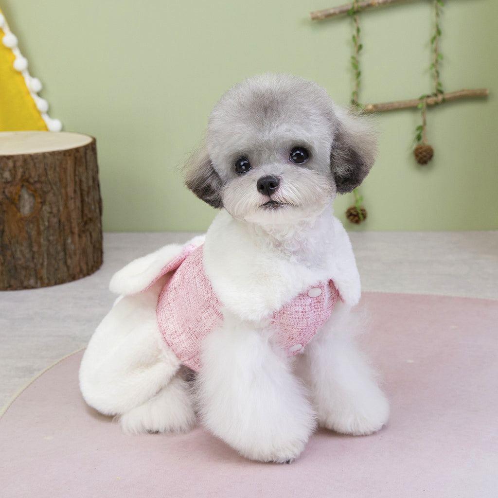 Teddy Bichon Dog Winter Princess Dress_CWMM12201