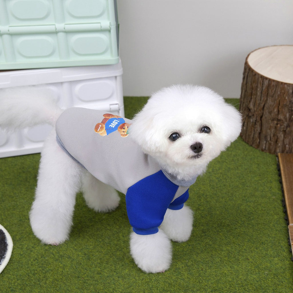 Warm Fleece Dog Hoodie Teddy Bichon Yorkie_CWMM12249