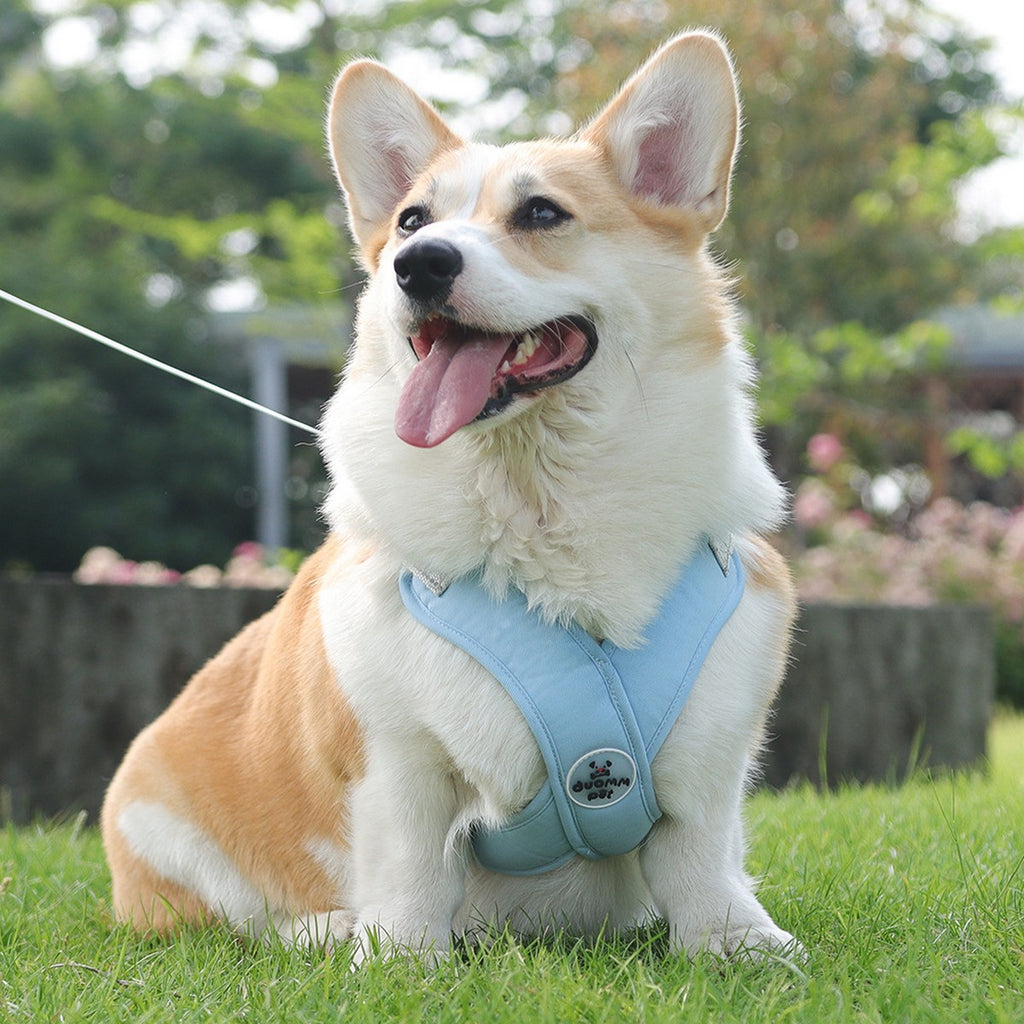 Dog Vest Harness with Reflective Walking Leash_CWMM12568