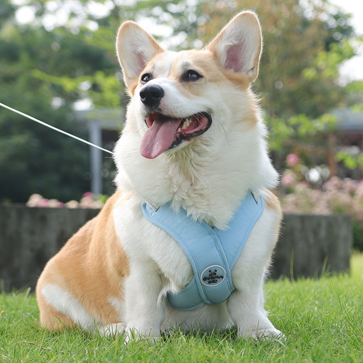 Dog Vest Harness with Reflective Walking Leash_CWMM12568