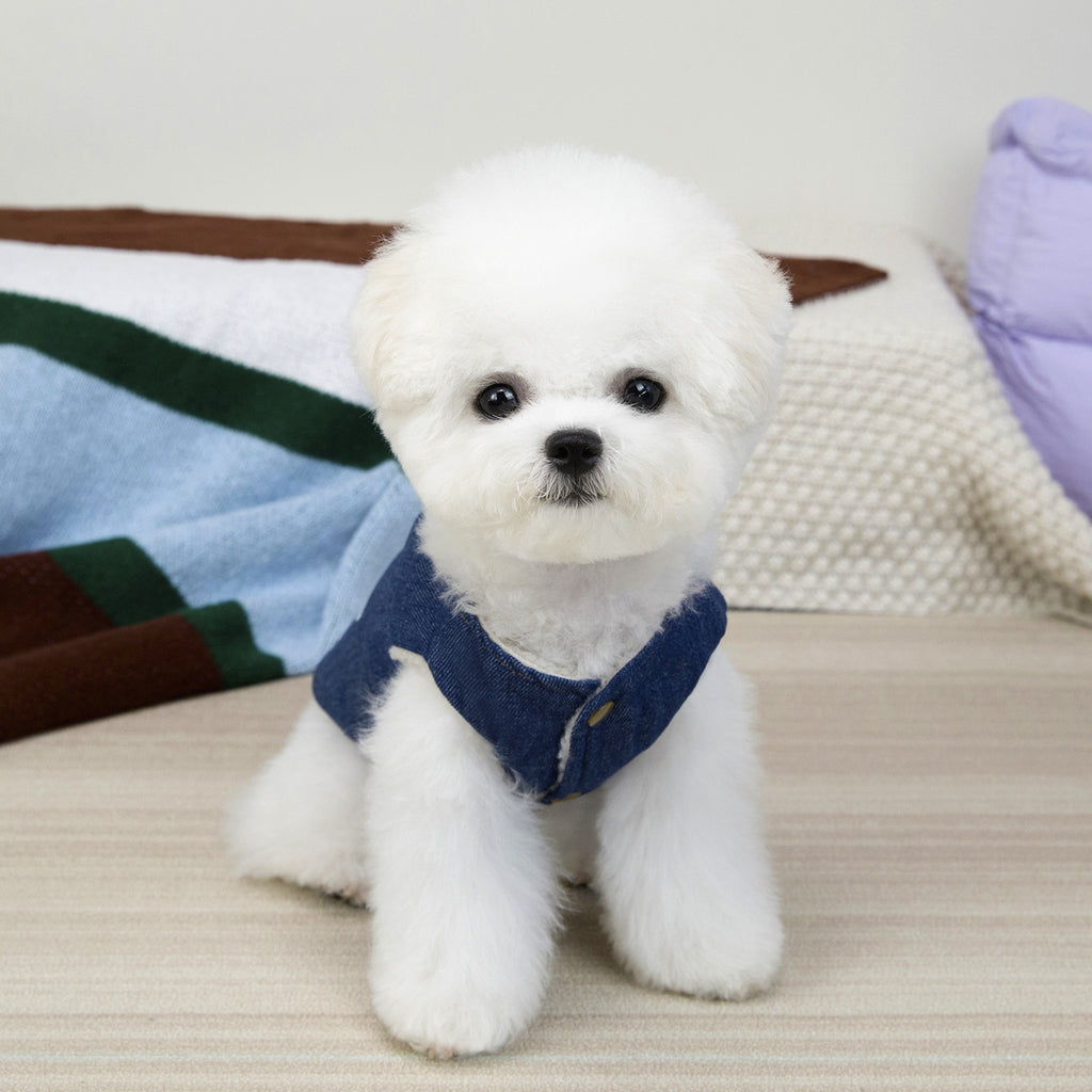 Cozy Denim Dog Vest with Cartoon Print_CWMM12206