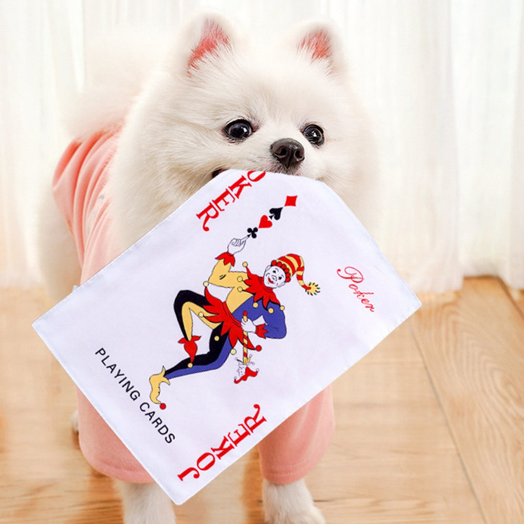 Funny Newspaper & Poker Pet Toy – Squeaky Sound_CWMM11065