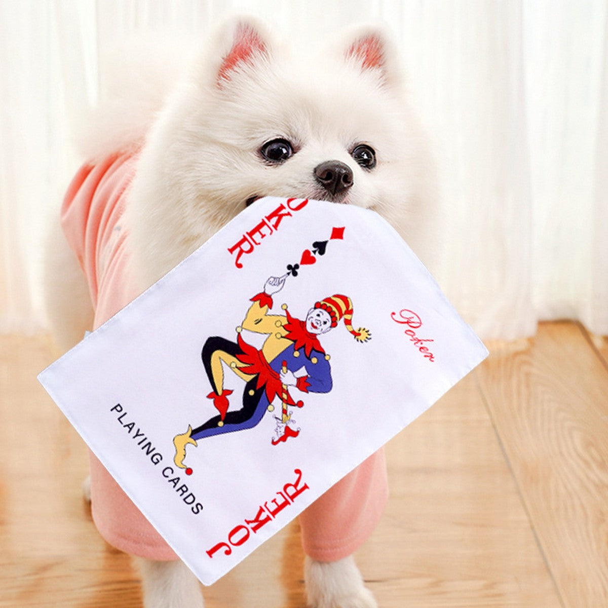 Funny Newspaper & Poker Pet Toy – Squeaky Sound_CWMM11065